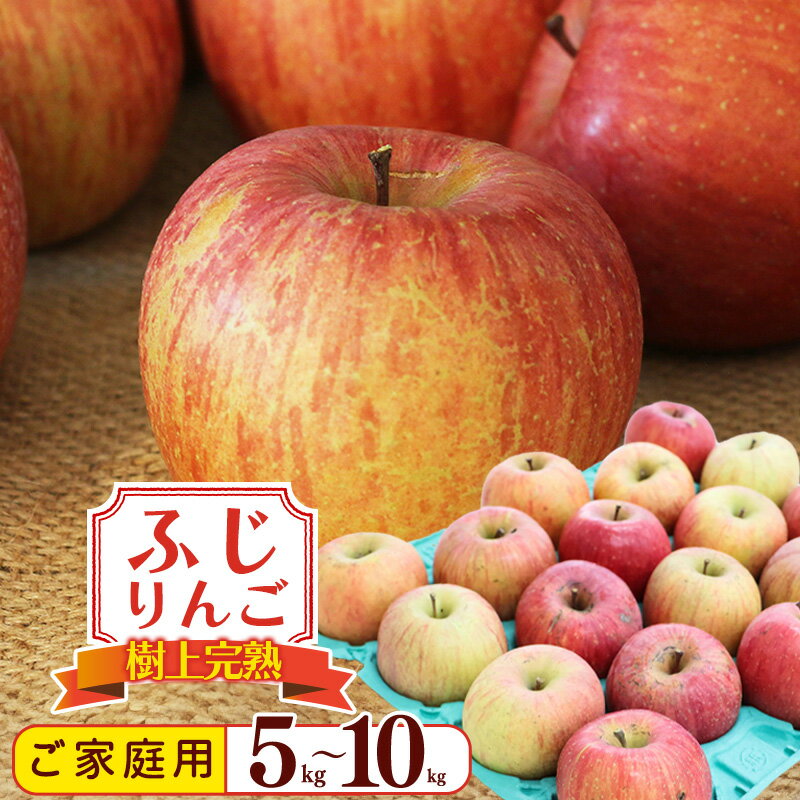 【ふるさと納税】りんご 5kg 10kg 家庭用 「ふじりんご」生産者直送 《訳あり》【2025年12月頃から発送予定】 SDGs フードロス 不揃い 規格外 ／ お取り寄せ 特産 果物 冬 林檎 デザート おやつ 東北 2025年産 令和7年産 山形県産 5キロ 10キロ 自宅用