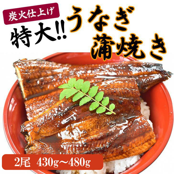 【ふるさと納税】うなぎ蒲焼き2尾入り 430g～480g（蒲焼たれ4袋 山椒付き）［KS5］ | 和歌山県 高野町 和歌山 高野山 カット鰻 鰻 カット ウナギ うな重 ひつまぶし かばやき 冷凍