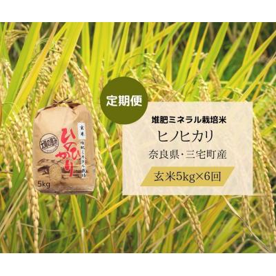 ふるさと納税 三宅町 【6回定期便】ひのひかり 玄米 5kg×6回 全30kg 奈良県 三宅町 ヒノヒカリ 志埜米穀店 |  | 01