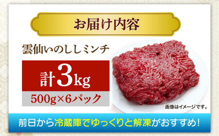 猪肉 ミンチ 3kg 雲仙いのしし / ひき肉 肉 イノシシ ジビエ いのしし ハンバーグ / 南島原市 / 株式会社髙田牧場[SDB014]