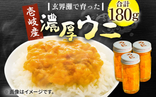 ★お中元 配送★壱岐産 濃厚 ウニ 60g ×3本《壱岐市》【合同会社塚元】ムラサキウニ 海産物 海鮮 うに 雲丹 珍味 [JDR023] 41000 41000円  海の幸  海の幸