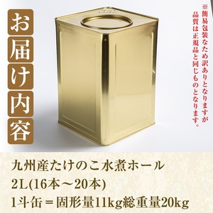 【ふるなび限定】＜訳あり・業務用＞数量限定！1斗缶たけのこ水煮ホール2L(16本～20本) 国産 九州産 鹿児島県産 筍 竹の子 水煮 簡易包装 酢豚 筑前煮 若竹煮 天ぷら チンジャオロース たけの