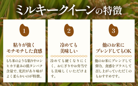 【令和5年産】《定期便》5kg×12回 60kg 特別栽培米 ミルキークイーン 無洗米 低農薬 《食味値85点以上！こだわり極上無洗米》 / 福井県 あわら 北陸 米 お米 人気