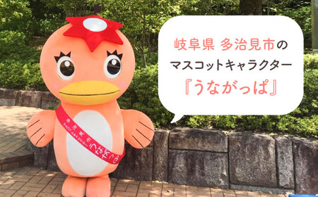 【6回定期便】 うながっぱの水 1ケース（ 500ml ペットボトル × 24本 ） 2 多治見市 /多治見市観光協会 ミネラルウォーター 備蓄[TAQ017]