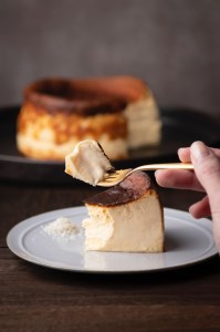 「メゾン　フジヤ」のガトーフロマージュ（１２㎝）[22900220]