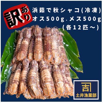 ふるさと納税 小樽市 【訳あり】北海道小樽産 漁師直送浜茹でシャコ(冷凍)オス500gメス500g計1kg(各12匹〜)