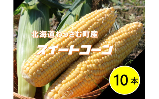 
【ふるさと納税】≪令和6年産≫和寒産スイートコーン（10本セット）
