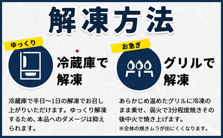 訳あり 塩銀鮭 塩サバ 計2.5kg サバ 西川