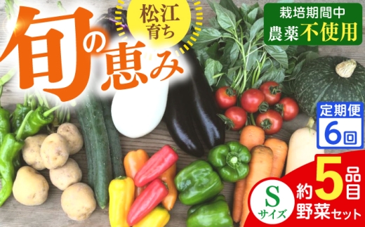 【先行予約】【2027年1月以降発送開始】【全6回定期便】旬の野菜セットSサイズ 島根県松江市/須山農園 [ALBD012]セット 産地直送 詰め合わせ 旬の野菜 旬野菜 野菜詰め合わせ 国産野菜 新鮮野菜 オーガニック野菜 食品 健康志向 ヘルシー 季節野菜