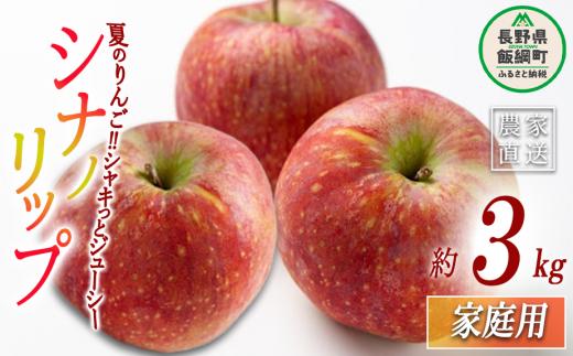りんご シナノリップ 家庭用 3kg 丸山りんご園 沖縄県への配送不可 2025年8月中旬頃から2025年9月上旬頃まで順次発送予定 令和7年度収穫分 信州 果物 フルーツ リンゴ 林檎 長野 11000円 予約 農家直送 長野県 飯綱町 [0705]