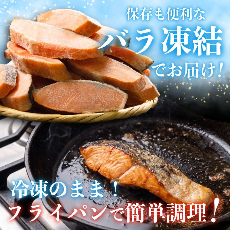  訳あり 銀鮭 切り身 3kg 冷凍 切身 サイズ 不揃い 規格外 鮭 サケ シャケ 塩銀鮭 人気の海鮮返礼品 カマ サーモン 魚 家庭用 おかず 【北海道･沖縄･離島への配送不可】