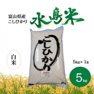 ふるさと納税 小矢部市 栽培期間中農薬・化学肥料不使用　こしひかり　白米 5kg×1袋(5kg)