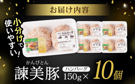 諫美豚ハンバーグ 10個（各150g）計1.5kg / 豚肉 ハンバーグ はんばーぐ おかず 惣菜 冷凍 / 諫早市 / 土井農場 [AHAD064]