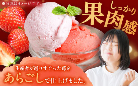 THE ICHIGO プレミアム苺アイスクリーム＆シャーベット 計8個 / 佐賀県 / リフルット株式会社 [41ABAA020]
