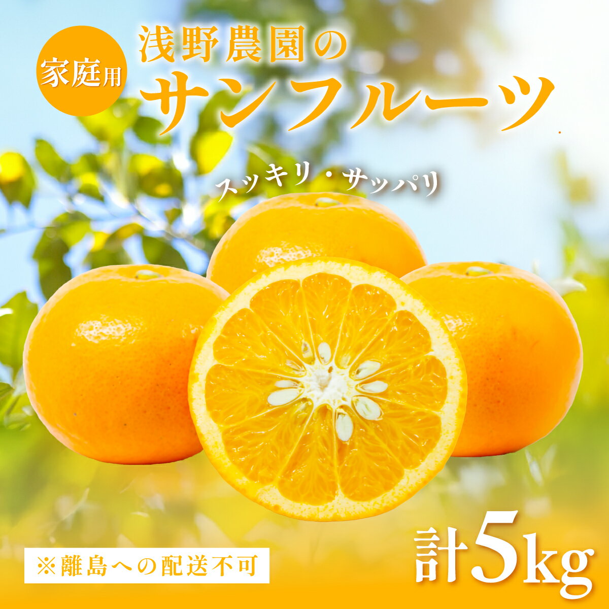 【ふるさと納税】【先行予約】【家庭用】浅野農園のサンフルーツ5kg ※離島への配送不可（2026年3月中旬頃より順次発送予定） 【 ふるさと納税 人気 おすすめ ランキング 柑橘 みかん ミカン オレンジ フルーツ 果物 くだもの 旬 愛媛県 伊方町 送料無料 】 IKTAC010