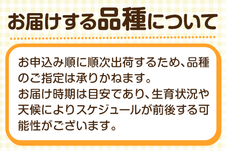 【先行予約】梨 旬の梨 約2～2.5kg 藤末果樹園 熊本県荒尾市産《7月中旬-10月中旬頃出荷》フルーツ 果物 荒尾梨 はつまる 幸水 愛甘水 りんか ほしあかり 豊水 秋麗 かおり あきづき 新高