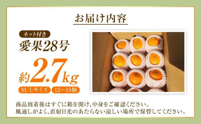 みかん 愛果28号 約2.7kg M-Lサイズ フルーツ 果物 みかん BJBG001