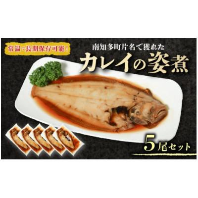 ふるさと納税 南知多町 カレイ 姿煮 5尾セット