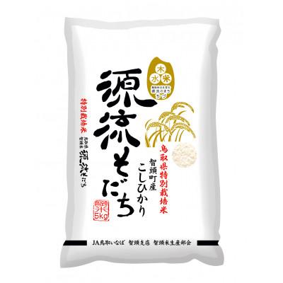ふるさと納税 智頭町 鳥取県智頭町産 特別栽培米コシヒカリ 計5kg