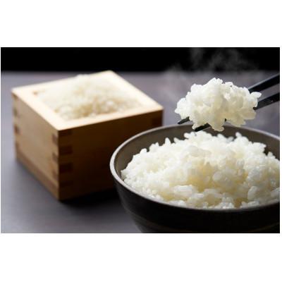 ふるさと納税 宮城県 めぐりん米(白米) 2kg |  | 01