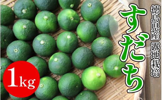 【2026年8月下旬より発送】すだち 1kg 露地栽培 徳島県産 旬 スダチ 柑橘 酢 ビネガー 焼き魚 果汁 1kg 鮭 サーモン さば ぶり カクテル サワー