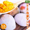 【ふるさと納税】【先行予約】訳あり 冷凍マンゴー 1.5kg 沖永良部島産 マンゴー アップルマンゴー 3玉 ～ 4玉 加工用 アレンジ自由 ジュース トッピング ジェラート ジャム お菓子 鹿児島県 和泊町 お取り寄せ フルーツ 果物 冷凍 送料無料