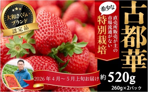 M-AG24.【4月～5月上旬発送】減農薬いちご「古都華」2パック 特別栽培農産物
