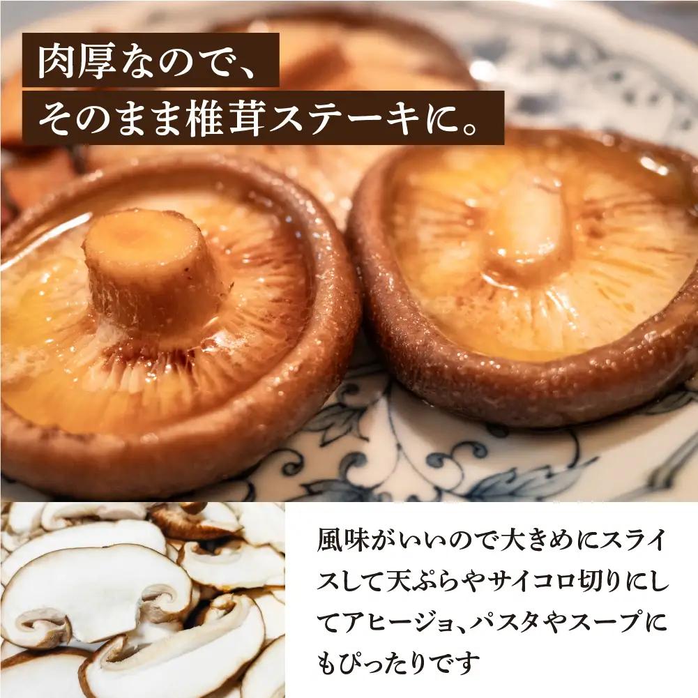 先行予約【期間限定】（2026年11月から順次発送）菌床生椎茸　詰め合わせ 1.2kg 椎茸  生しいたけ 【71-3】