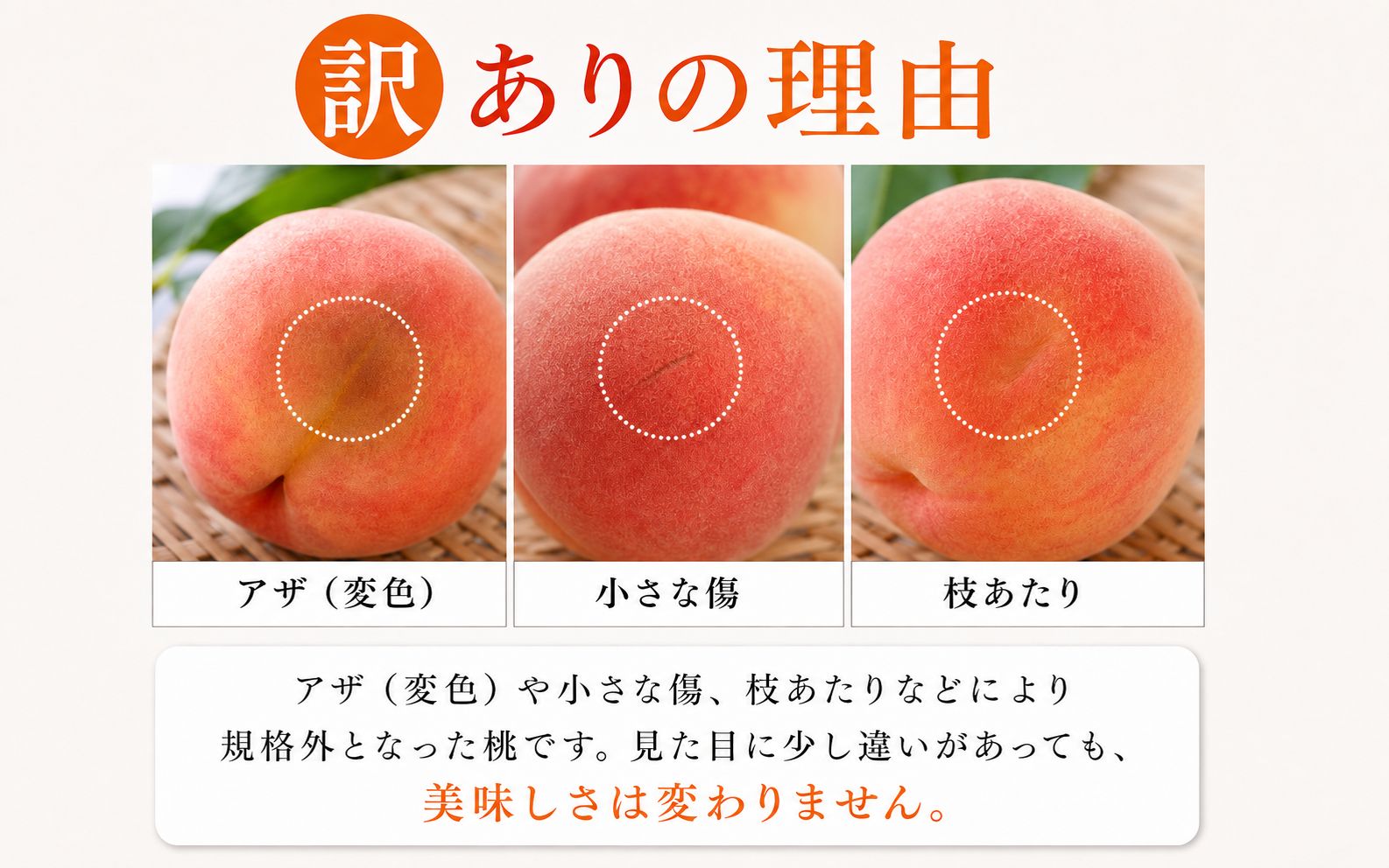 【ご家庭用訳あり】紀州和歌山産の桃　約1.8kg【2027年7月中旬頃～8月中旬頃順次発送予定】/ もも くだもの フルーツ 【uot873】