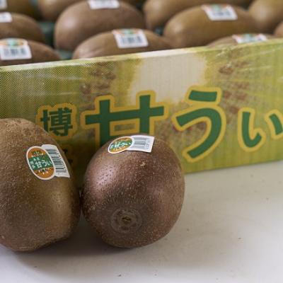 ふるさと納税 直方市 福岡限定!ブランドキウイ「甘うぃ(あまうぃ)」約1.5kg箱(12-15玉)(直方市) |  | 02