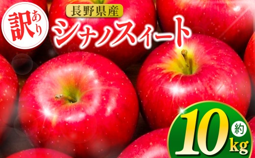 伊那市田原産 リンゴ シナノスイート 訳あり 約10kg｜りんご シナノスイート 甘い 訳あり品 美味しい フルーツ 田原 伊那 伊那産 長野県 ふるさと納税【019-23】