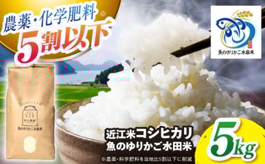【先行予約】【9月下旬～順次発送】R7年度産 新米 近江米 コシヒカリ 5kg 魚のゆりかご水田米 長浜市/阿辻農園[AQAW003] こしひかり 近江米 滋賀 魚のゆりかご 水田 米 お米 白米 5kg 魚のゆりかご水田 先行予約