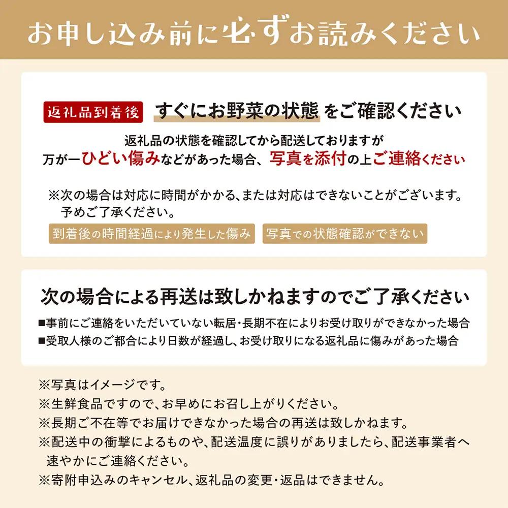 【12ヶ月 定期便】【野菜ソムリエ選定】 肥前の国のお野菜定期便 新鮮 採れたて 野菜 直売所 野菜 8～10品目 野菜定期便 J-14
