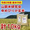 【ふるさと納税】◆玄米◆【特A受賞米】北海道富良野市産ゆめぴりか　5kg×2袋【1399328】