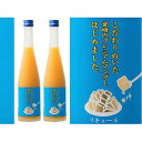 【ふるさと納税】マンゴー梅酒　500ml×2本　＜篠崎＞　【お酒・洋酒・リキュール類】