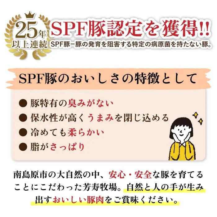 【12回定期便】豚肉 バラエティ豚肉セット 芳寿牧場 [SEI022] 