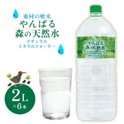 【ふるさと納税】東村の軟水【やんばる 森の天然水】ナチュラルミネラルウォーター　2L×6本 天然水 ミネラルウォーター 水 ソフトドリンク 飲料水 軟水 東村の水 天然水 お水 ヤンバルの水 やんばる ヤンバル ペットボトル 2リットル 防災 国産 長期保存 備蓄 沖縄 東村