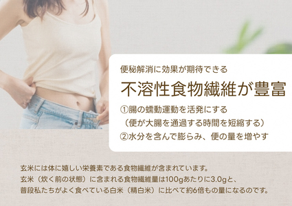 【令和7年産】【9ヶ月定期便】【炊飯器で普通に炊ける玄米】 ふっくら玄米食 6kg（2kg×3）×9回 新潟県阿賀野市産 米杜氏 壱成 特別栽培コシヒカリ 1H34199