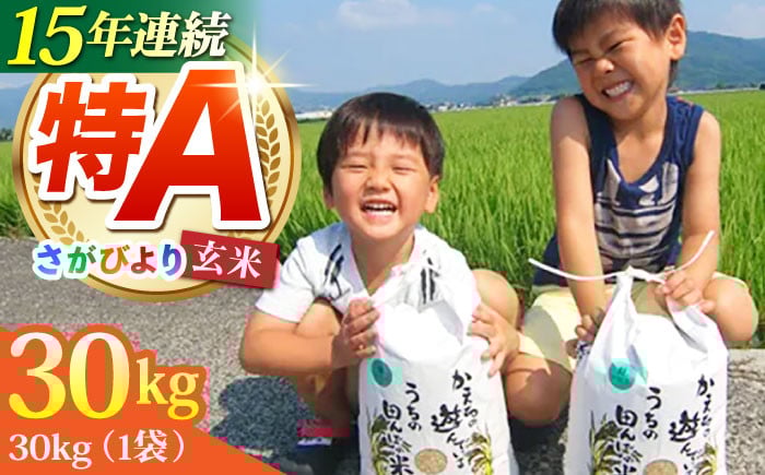 
            【発送月が選べる】令和7年産 新米 さがびより 玄米 30kg【ひなたむらのお米】 [HAC001] 米 佐賀 佐賀県産 特A評価 特A米
          