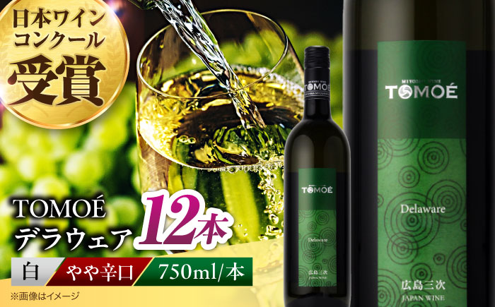 ワイン TOMOEデラウェア 白ワイン やや辛口 750ml×12本 白 受賞 ギフト 広島 人気 おうち ディナー ランチ お酒 パーティー わいん 三次市 / 広島三次ワイナリー [APAZ092]