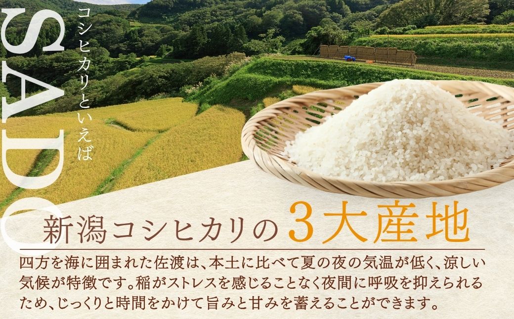 【先行予約・限定】令和8年産　特別栽培米　佐渡産コシヒカリ　農家直送　朱鷺も棲む　北見農園自慢の逸品　定期便（精米5kg)