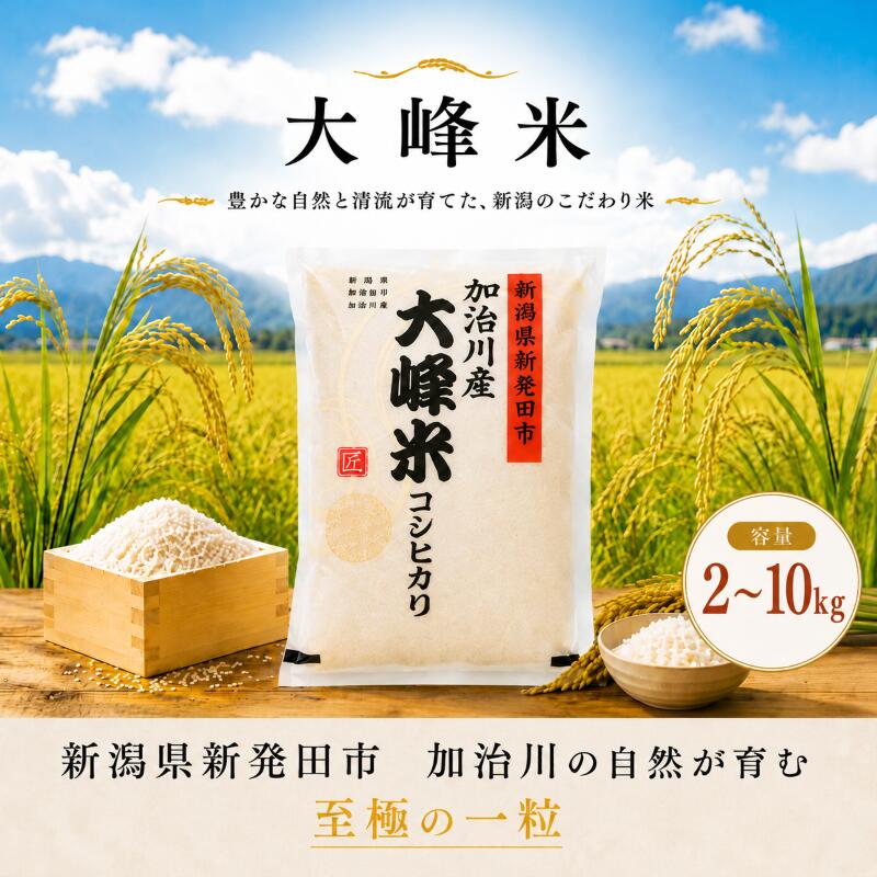 【ふるさと納税】 【大峰米コシヒカリ】 令和7年産 新潟県産 コシヒカリ 2kg 5kg 10kg（5kg×2袋） 新潟県 新発田市 加治川産 新発田産 新潟 精米 米 お米 大峰米 白米 こめ コメ ライス ご飯 ごはん 美味しい 贈り物 国産 産地直送 GAP認証 JGAP アグリ加治川 agk007P