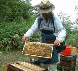 熊野古道 峠の蜂蜜3本セット 【SW71】