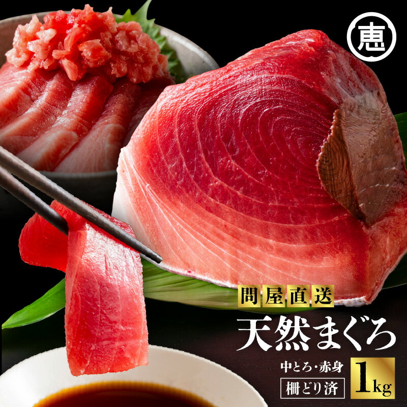 【ふるさと納税】 とにかくまぐろの質に自信あり 問屋直送 天然三崎まぐろ 1kg 中トロ 赤身 マグロ 鮪 メバチマグロ 赤身 刺身 魚 魚介 冷凍 おいしい 天然 三崎恵水産 神奈川県 三浦市 おすすめ ランキング プレゼント ギフト
