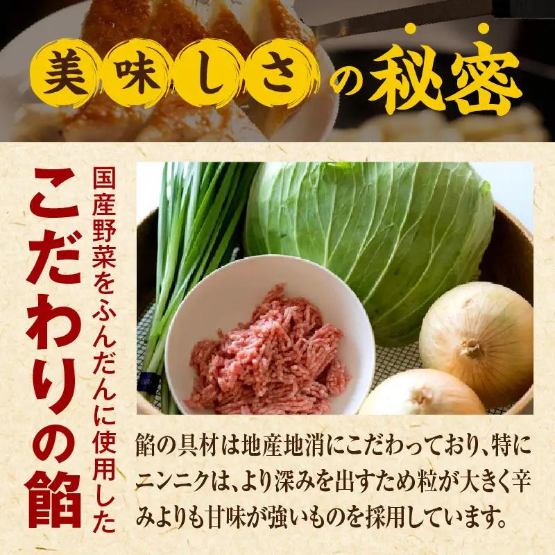 【定期便奇数月】宮崎餃子専門店・黒兵衛・餃子10パック（100個）×隔月6回 ギョーザ おかず おつまみ