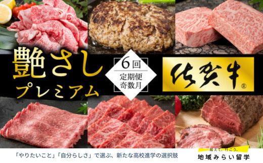 
            【定期便セット】佐賀牛を隔月奇数月に6回お届け(しゃぶしゃぶすき焼き用・ローストビーフ・ハンバーグ・赤身・切り落とし・サーロイン)
          