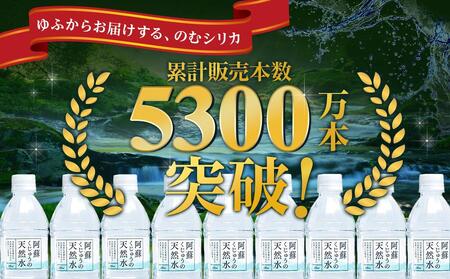 【定期便 全6回】阿蘇くじゅうの天然水 500ml×48本（24本×2ケース）【名水百選】＜天然シリカ71mg/L　硬度約41mg/L＞トライアル