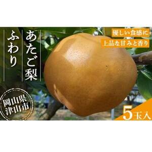 2025年11月下旬より順次発送予定　あたご梨 ふわり(5玉入り)【1626522】