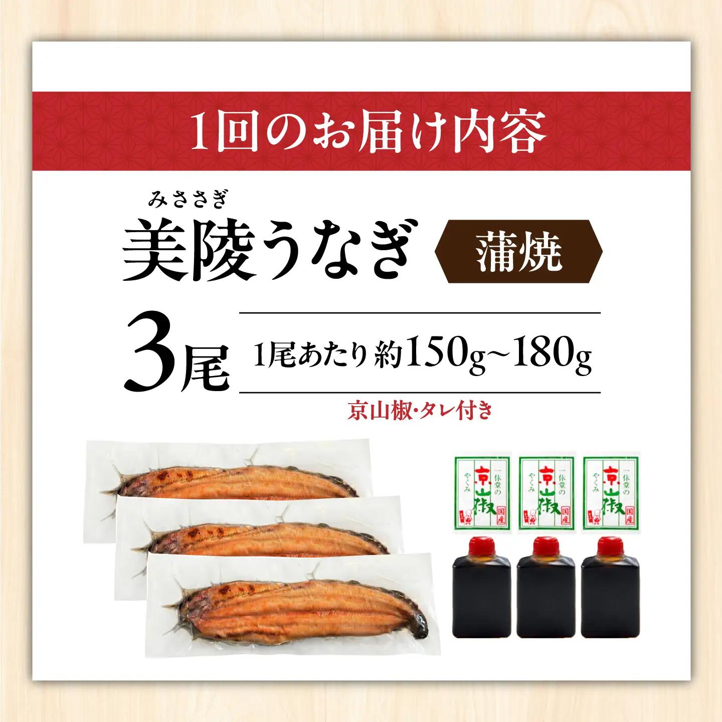 【全12回定期便】鰻 鰻の蒲焼 3尾/ 美陵鰻 鰻 うなぎ ウナギ 蒲焼 蒲焼き かば焼き かばやき 白焼き 白焼 しろやき しらやき 特大 肉厚 うな重 うな丼 ひつまぶし 惣菜 おかず タレ 山椒