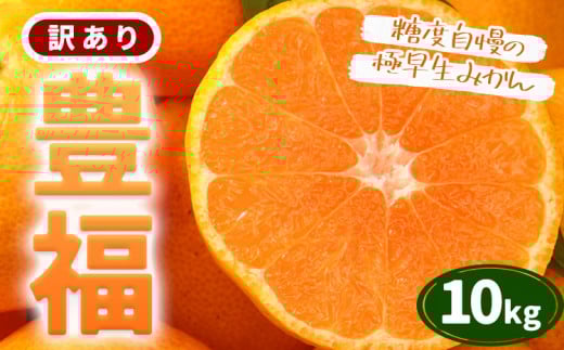 訳あり 極早生みかん 「 豊福 」10kg 箱入り 都呂々みかん生産者グループ《10月中旬-11月下旬頃出荷》 フルーツ 果物 くだもの 柑橘 みかん ミカン 蜜柑 熊本県 苓北町【配送不可地域あり】